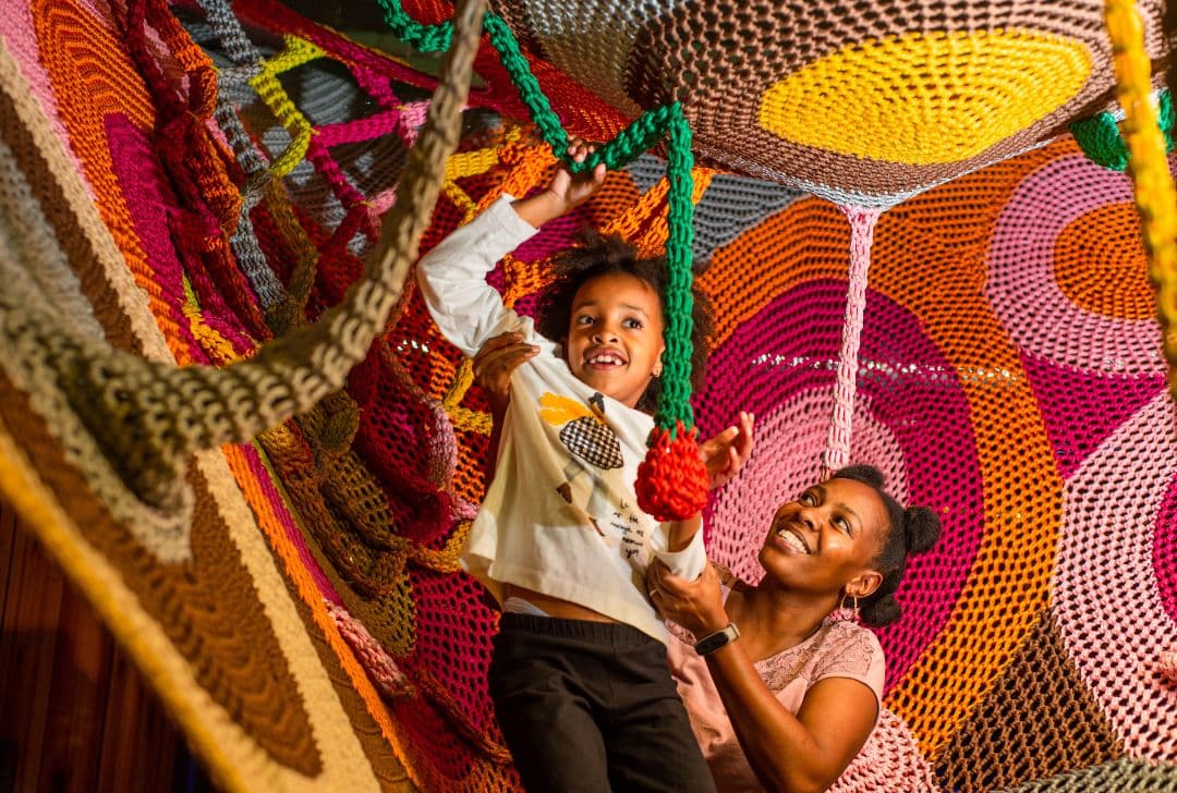 Net Maze at The Hub Park